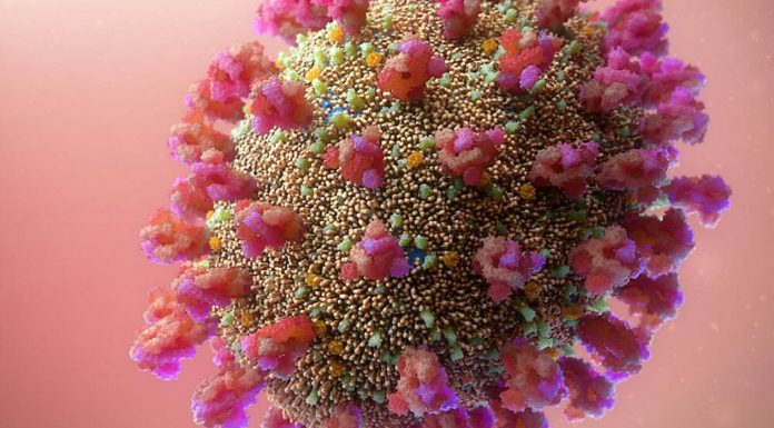 Omicron varianta: zaenkrat zbolevajo predvsem dvakrat cepljeni