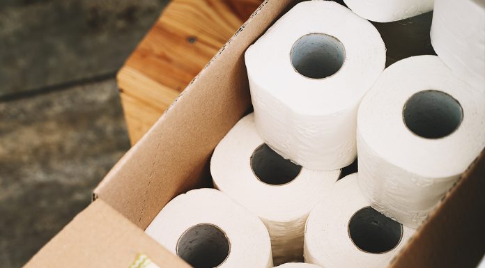 5 stvari, ki jih morate vedeti o bambusovem toaletnem papirju