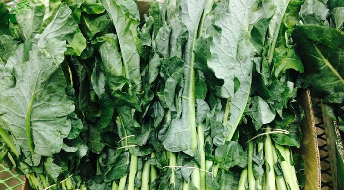 Ste vedeli, da je blitva tako zelo zdrava?