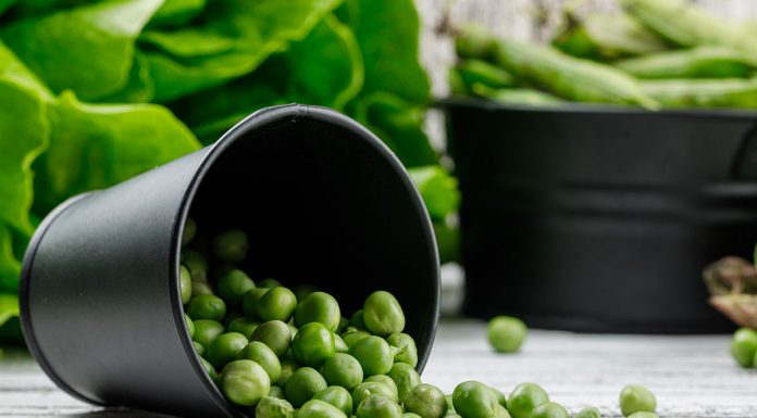 Neverjetne zdravilne lastnosti graha, ki jih verjetno še ne poznate