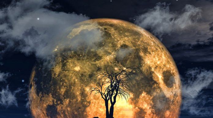 Kako bo volčja polna luna (18. januar) vplivala na vaše življenje?