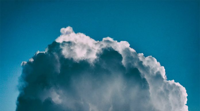 Možganska megla? Teh 10 snovi vam lahko pomaga