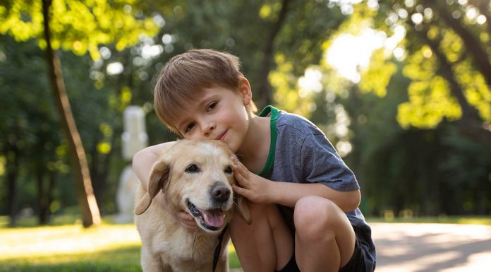 5 najboljših psov za otroke in družine