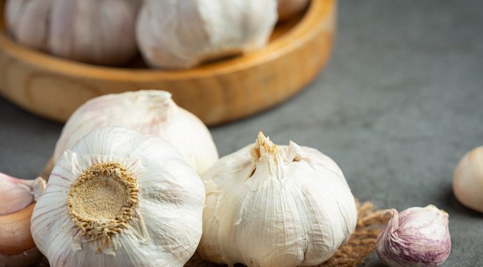 Kako shraniti česen, da ostane svež