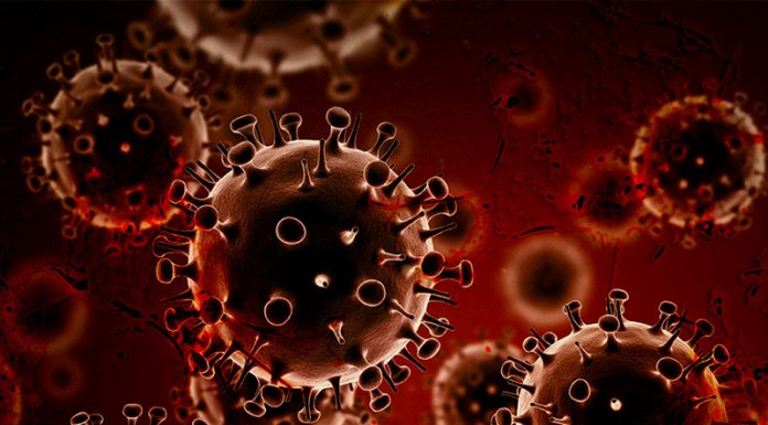 Odkrili snov, ki v nekaj dneh uniči raka jajčnikov in debelega črevesa