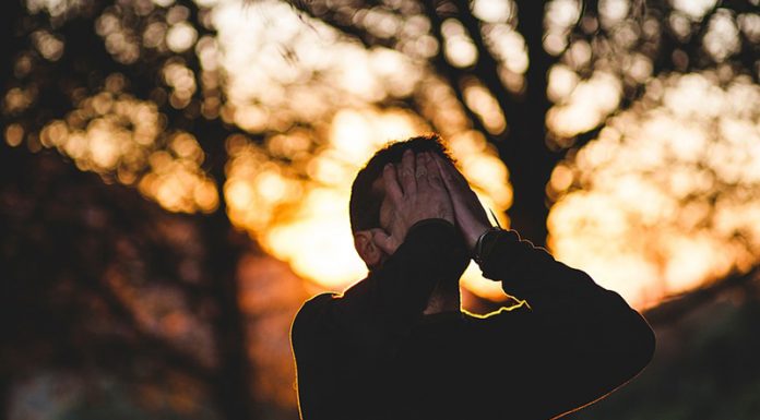 Podedovane družinske travme; knjiga, ki bo razjasnila marsikatero vprašanje