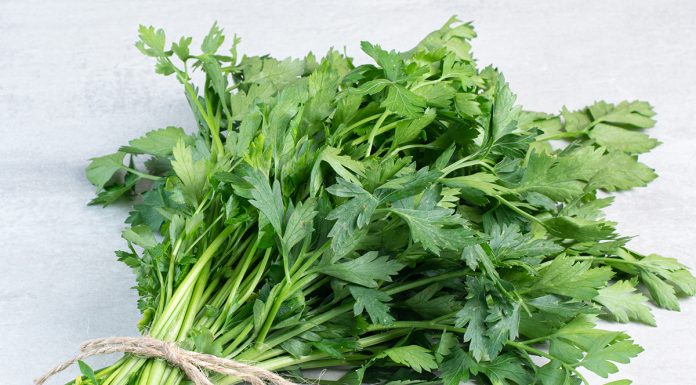 Razlogi, zakaj bi pogosteje morali uživati peteršilj