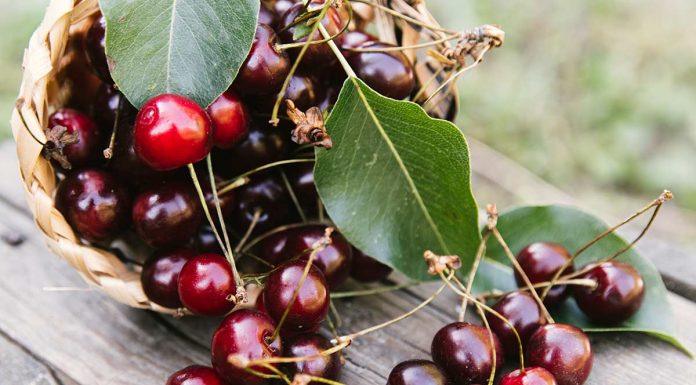 Kako shraniti češnje, da bodo zdržale čim dlje češnje