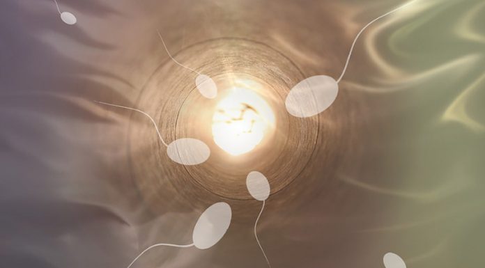 Nova študija potrjuje, da eksperimentalna Covid ‘cepiva’ zmanjšujejo moško plodnost