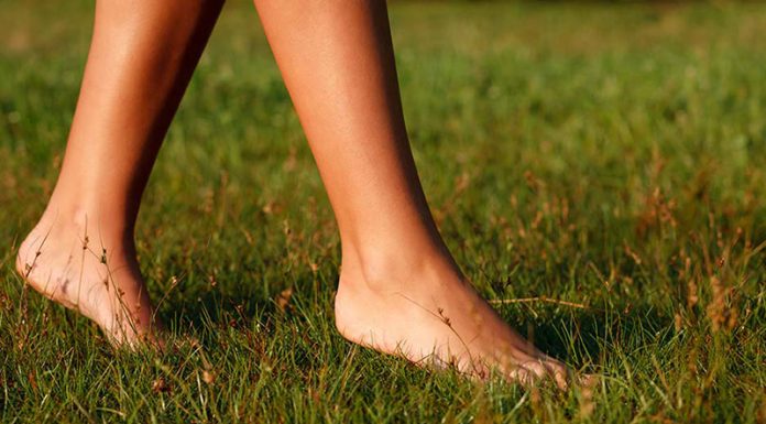 Bosa hoja oz. ‘ozemljevanje’ redči kri in preprečuje strdke (ter tako zdravi bolezni srca in ožilja)