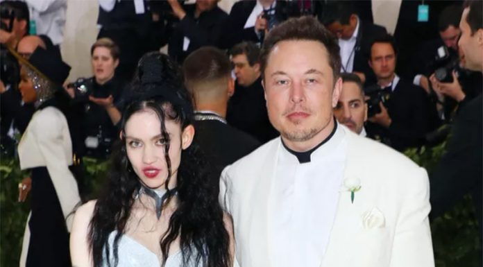 Glasbenica si hoče operativno preoblikovati ušesa v škrata, Elon Musk ni navdušen