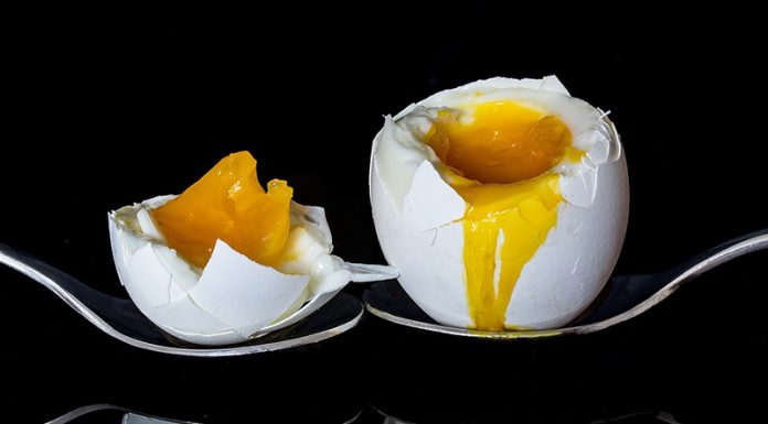 Kuhana jajca: kako dolgo jih kuhati za določeno stopnjo mehkobe?