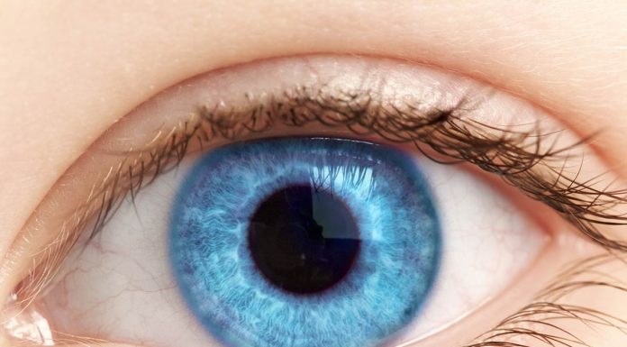 Zanimiva dejstva o ljudeh, ki imajo modre oči