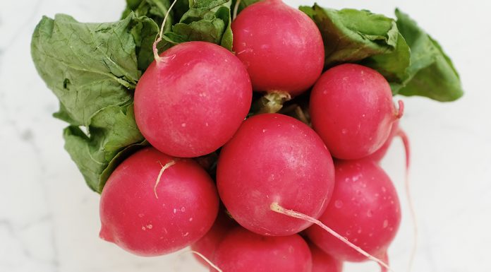 Recept: Vložene redkvice vložene-redkvice