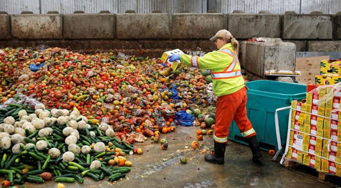 V 2021 smo v Sloveniji zavrgli kar 143.254 ton hrane