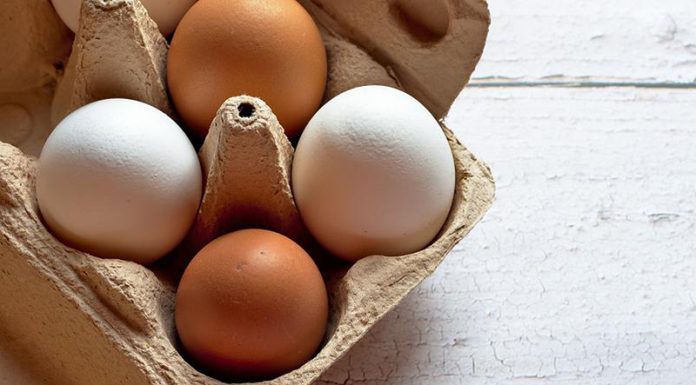 Zakaj so jajca tako zdrava? Jajca so prava superhrana!
