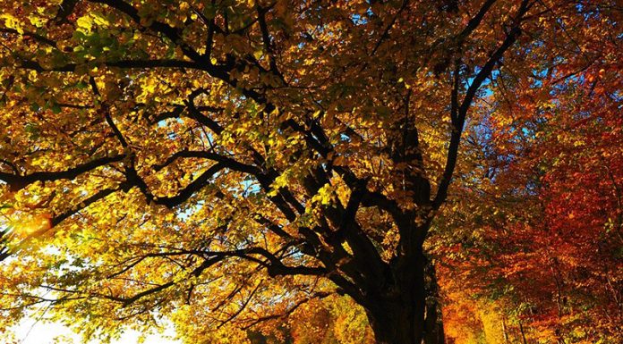 Enakonočje ni tako zelo enako, kot si morda mislite