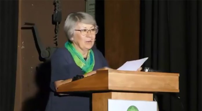 Novi WHO sporazum – pot v medicinsko diktaturo