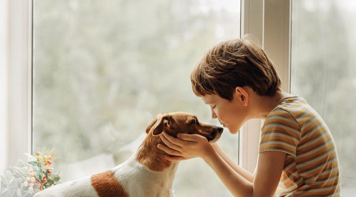 Kako se soočiti z izgubo vašega hišnega ljubljenčka izguba