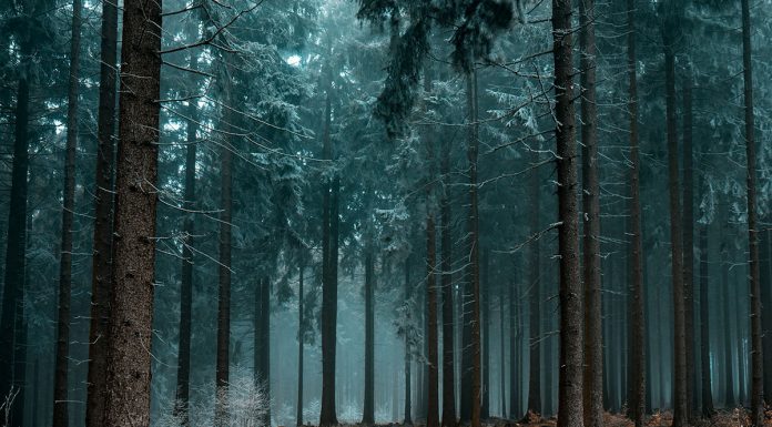 5 močnih znamenj iz vesolja, ki jih nikoli ne smete spregledati