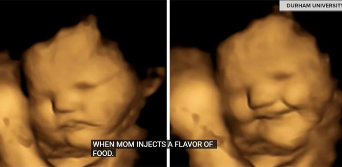 Takole so zarodki v maternicah reagirali na korenje in ohrovt