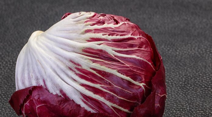 Zakaj bi se radič moral pogosteje znajti na vašem krožniku?