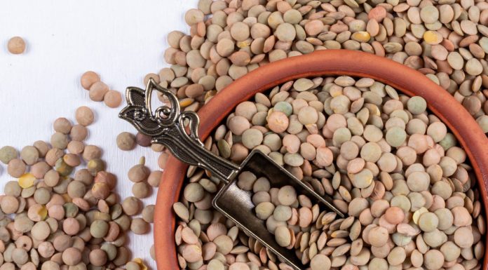 5 zdravstvenih koristi leče in njeni stranski učinki