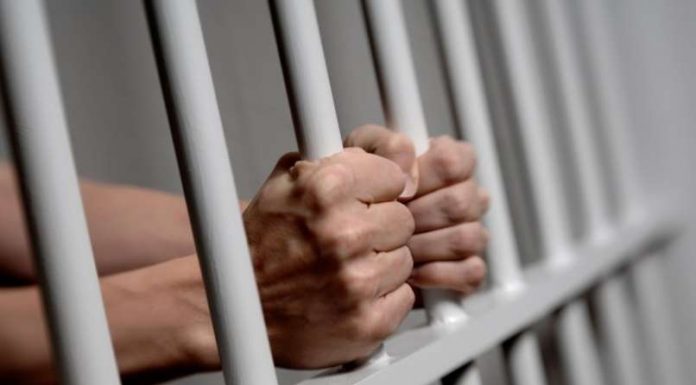 Kolumna: Skriti načrt šolskega sistema