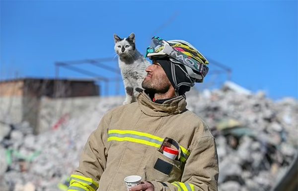 Video gasilca iz Turčije, ki je posvojil rešeno mucko, vam bo polepšal dan