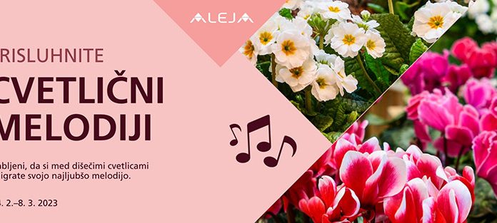 Velika cvetlična razstava v Aleji