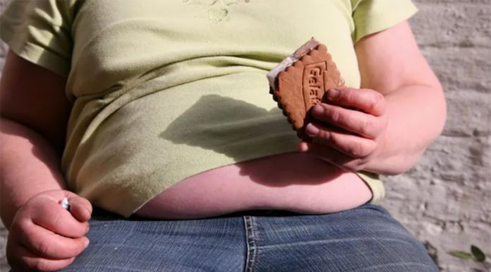 Prehrana z nizko vsebnostjo maščob ni učinkovita pri hujšanju