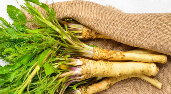 Zakaj bi morali hren jesti pogosteje?