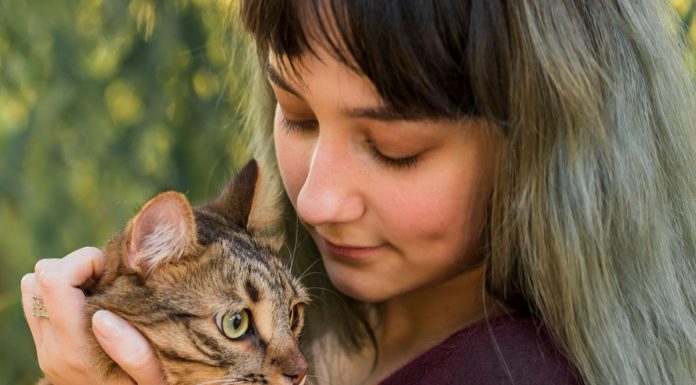 6 razlogov, zakaj bi morali imeti mačko