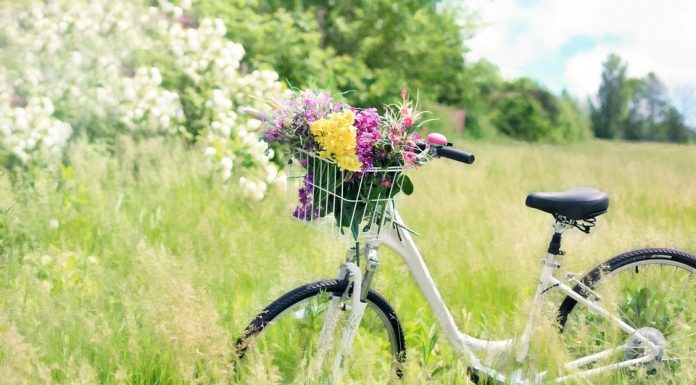 Spomladansko enakonočje 2023 bo 20. marca: vse, kar morate vedeti