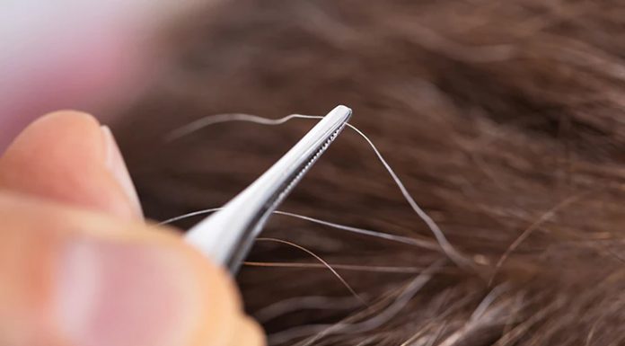 Ali namesto izpuljenega sivega lasu res zrasteta dva nova?