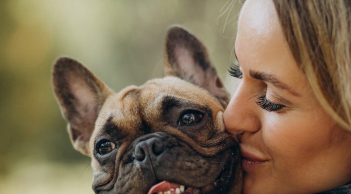 Kako veste, da je vaš pes srečen