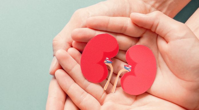 Ledvični rak: Miti, ki jim ne smete verjeti ledvica