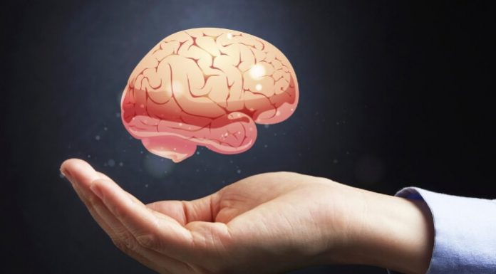 Brez tega vitamina možgani ne delujejo najbolje; večja je tudi nevarnost za demenco