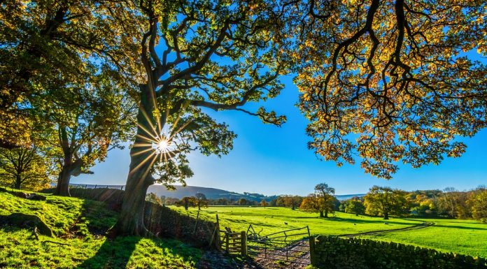 Zakaj je jutranja svetloba tako pomembna za vaše zdravje