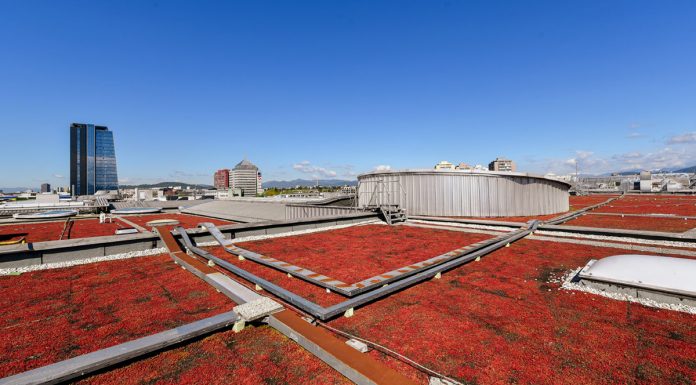 CityPark z vegetacijsko zasaditvijo strehe za boljšo mikroklimo