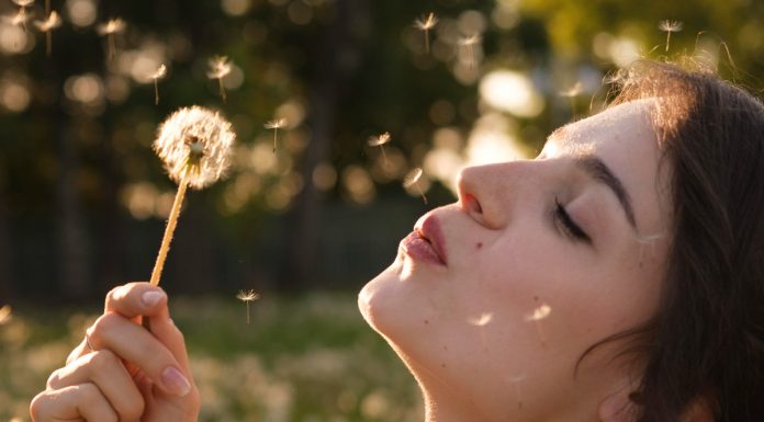 Ta živila lahko zmanjšajo sezonske alergije