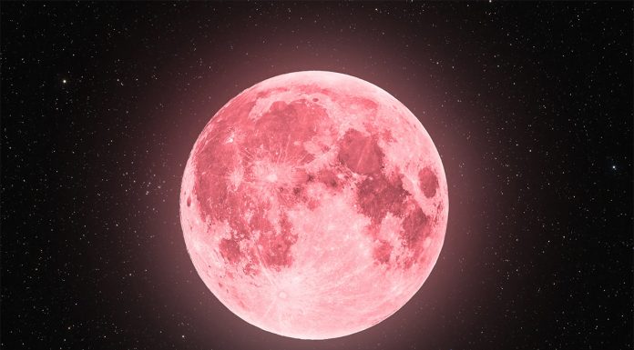 Kaj prinaša polna Luna v Strelcu (4. 6. 2023)?