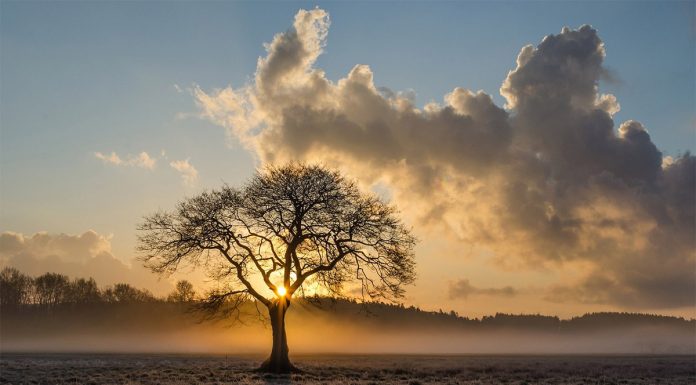 Test osebnosti: Slika, ki jo najprej vidite, razkriva vaše skrite prednosti in slabosti