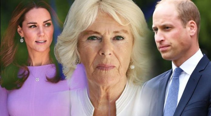 Camilla je hotela na vsak način uničiti zvezo Kate in Williama