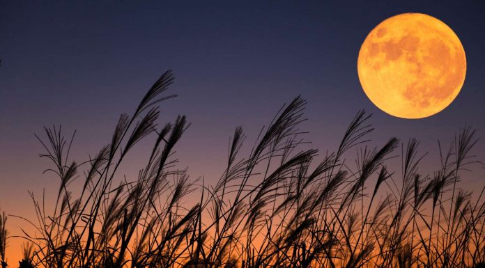 Kaj prinaša tokratna žetvena polna Luna (zadnja superluna v 2023)?