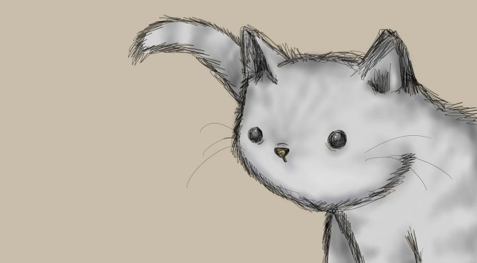 Test osebnosti: Optična iluzija razkriva, kakšna oseba ste pod pritiskom