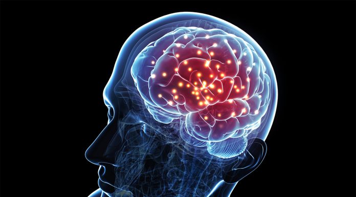 Spoznajte naravni nootropic: Bacopa Monnieri