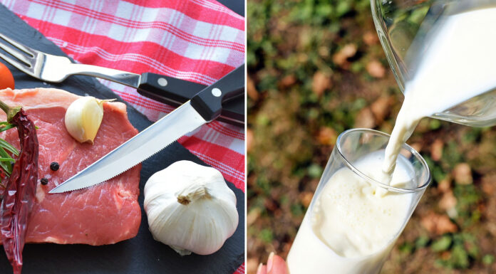 Raziskava: govedina in mleko izboljšata imunski odziv na raka