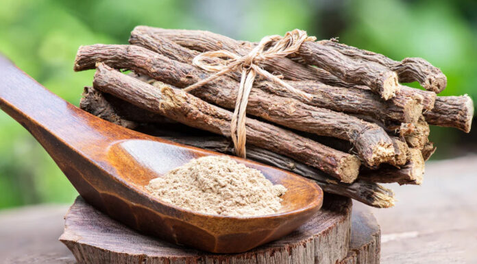 Za kaj vse vam lahko koristi to zelišče?