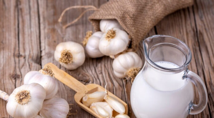 Je česnovo mleko novi zdravilni eliksir? Tukaj je vse, kar morate vedeti